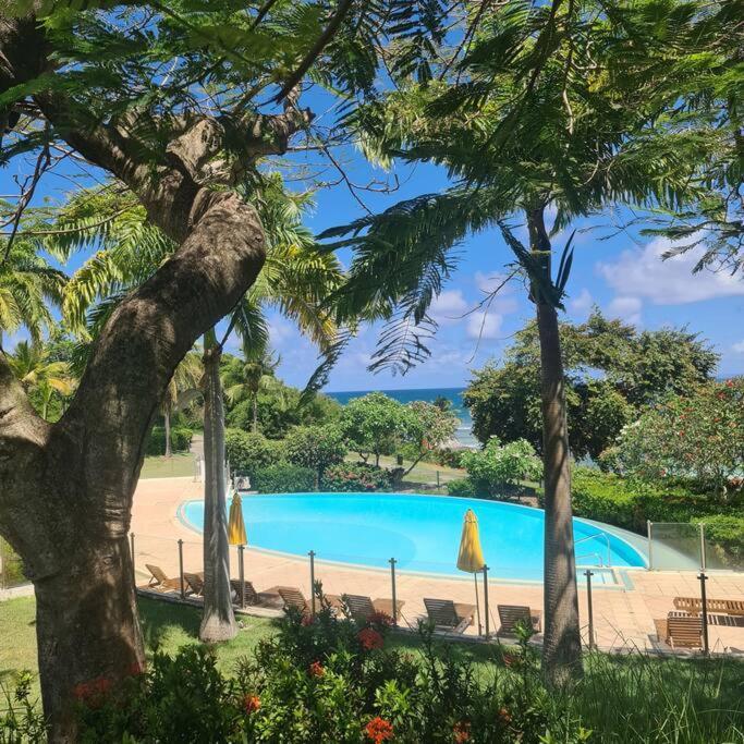 Magnifique Studio Pierre Et Vacances Piscine & Plage Сент-Анн Екстер'єр фото